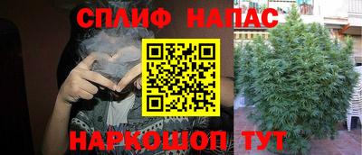 прущие крисы Усть-Илимск